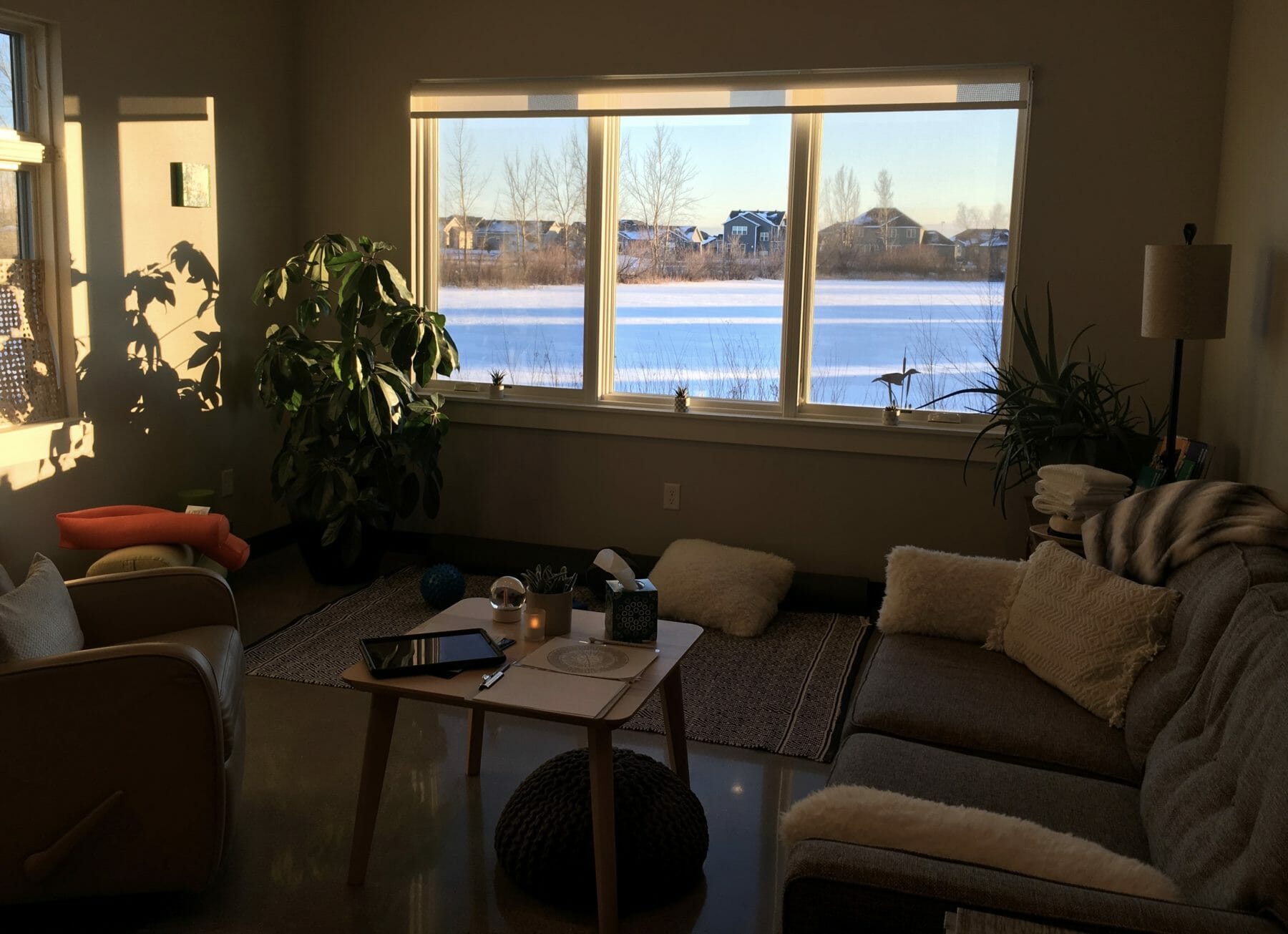 fullsizeoutput_e9c